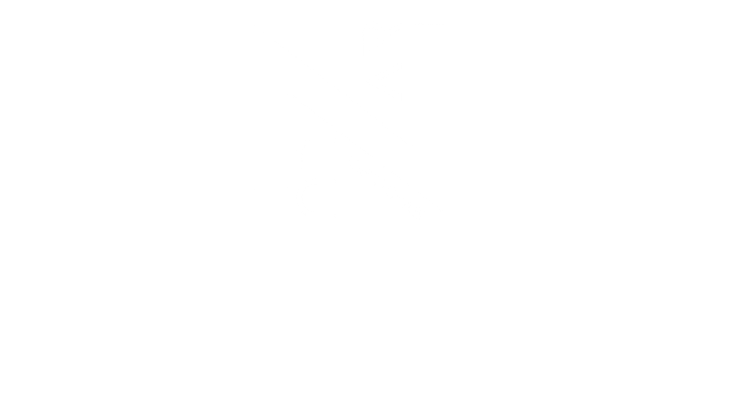 Lunar PDV